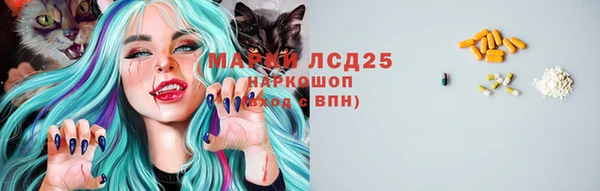 твердый Вяземский