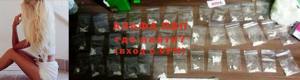 стаф Вязники