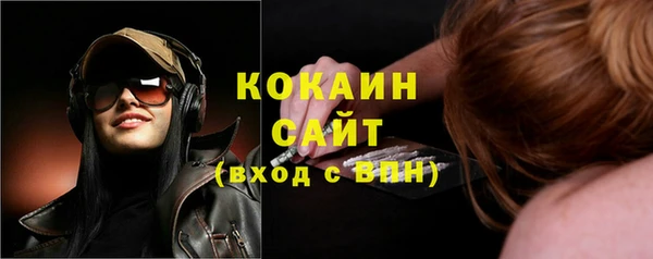 стаф Вязники