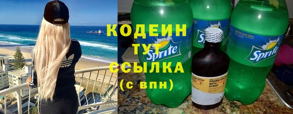 твердый Вяземский