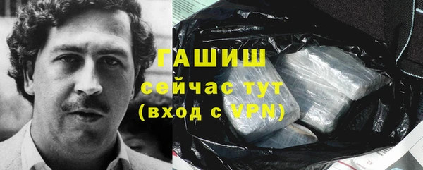 твердый Вяземский