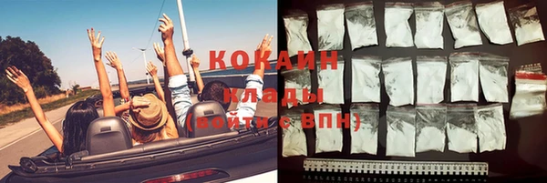 стаф Вязники