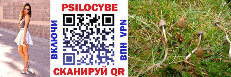 Галлюциногенные грибы Psilocybe shop официальный сайт Братск